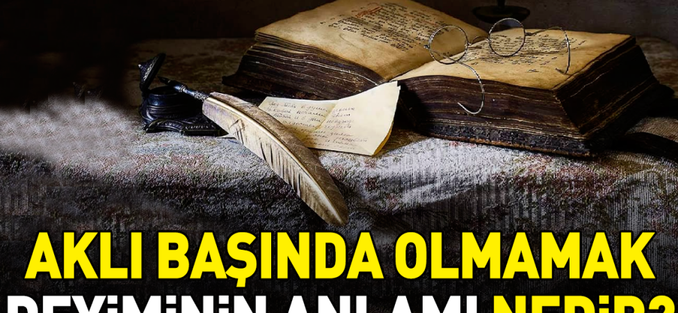 akli-basinda-olmamak-deyiminin-anlami-nedir-xMMS25h5.jpg