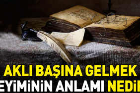 akli-basindan-gitmek-deyiminin-anlami-nedir-p2UySIK9.jpg
