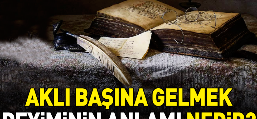 akli-basindan-gitmek-deyiminin-anlami-nedir-p2UySIK9.jpg